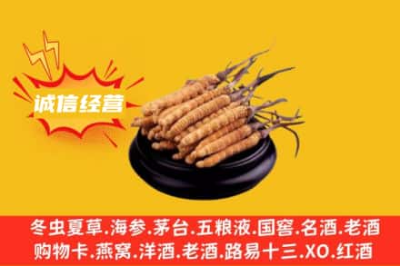 延边和龙市回收冬虫夏草